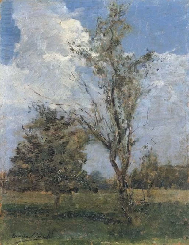 Campagna con alberi